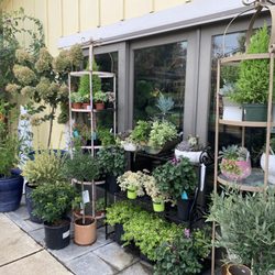 R & M Pool Patio & Gardens - Front of shop