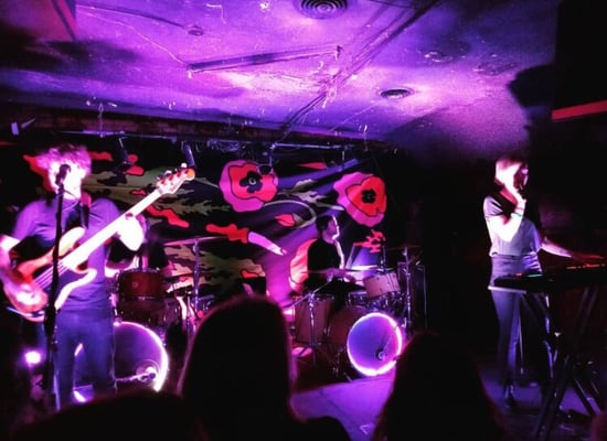 The Blind Pig by null