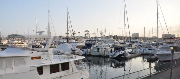 Tony P’s Dockside Grill by null