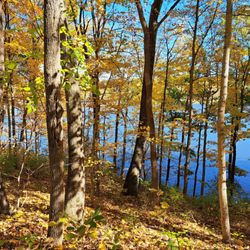 Whitewater State Park - Whitewater State Park