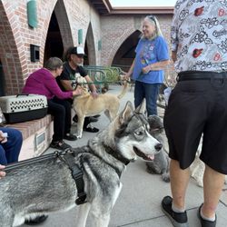Grace St Paul's Episcopal Church - Blue watching the animal blessings continue