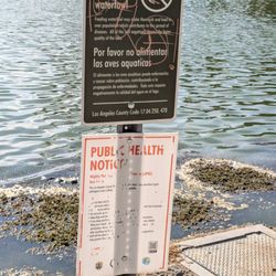 Alondra Community Regional Park - Don't feed the waterfowl! Also, a public health notice