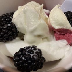 Yogurtology
