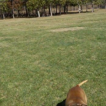 Batavia Bark Park - Pets Near Me - Batavia, Illinois