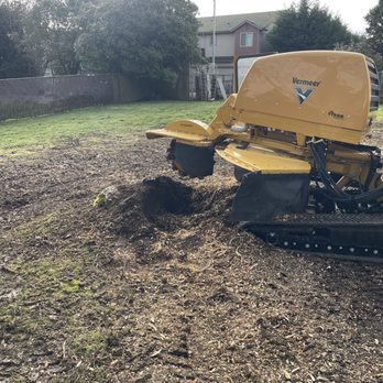 Five Star Stump Grinding - Tree Services Near Me Five Star Stump Grinding - Tree Services Near Me