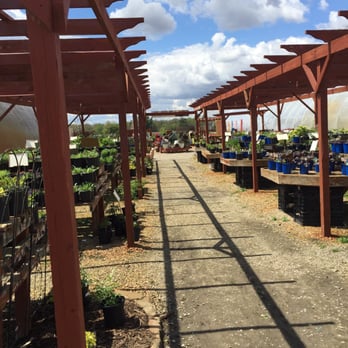 Stillwater Greenhouse - Gardeners Near Me - Orchard, Iowa Stillwater Greenhouse - Gardeners Near Me - Orchard, Iowa