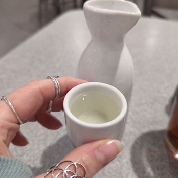Jade Villa - They have hot sake here! - Dim Sum Near Me - Virginia Beach, Virginia Jade Villa - They have hot sake here! - Dim Sum Near Me - Virginia Beach, Virginia