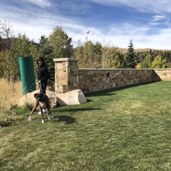 Live Oak Dog Obedience - Pet Training Near Me - Bluffdale, Utah Live Oak Dog Obedience - Pet Training Near Me - Bluffdale, Utah