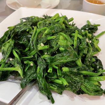 Wok & Roast Chinese BBQ - Dow Mew - Chinese Near Me - Toronto, Ontario Wok & Roast Chinese BBQ - Dow Mew - Chinese Near Me - Toronto, Ontario