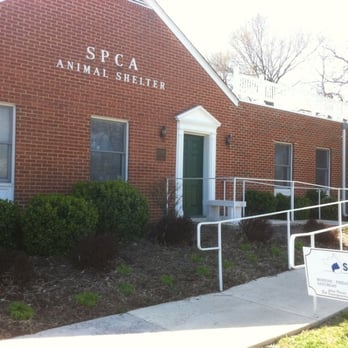 Winchester Area SPCA - Animal Shelters Near Me - Winchester, Virginia Winchester Area SPCA - Animal Shelters Near Me - Winchester, Virginia