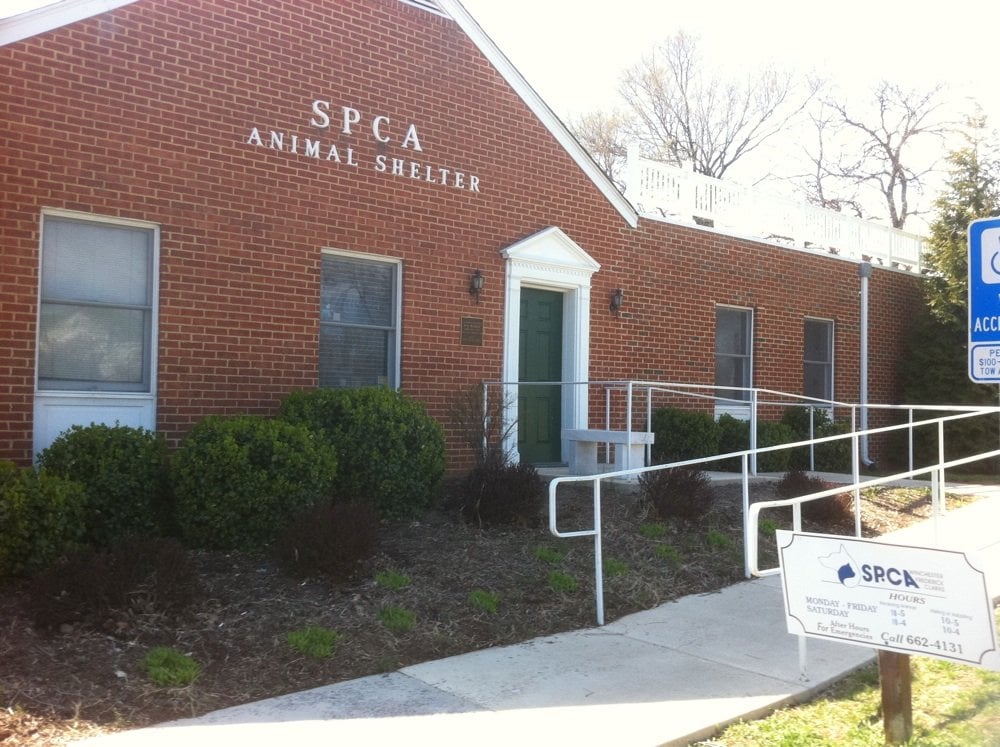 SOCIETY FOR THE PREVENTION OF CRUELTY TO ANIMALS Animal Shelters