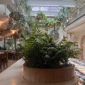 Terra - Italian Near Me - Dallas, Texas