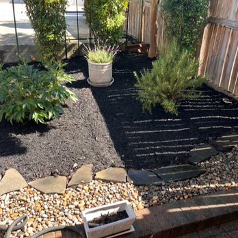 Sterling Tree Care & Gardening - Back yard when complete. Weed pulled, cedar mulch, and rosemary planted - Tree Services Near Me Sterling Tree Care & Gardening - Back yard when complete. Weed pulled, cedar mulch, and rosemary planted - Tree Services Near Me