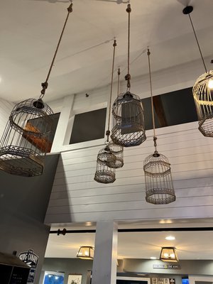 King Canary Brewing by null