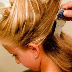 Lice Lifters Palm Beach Gardens