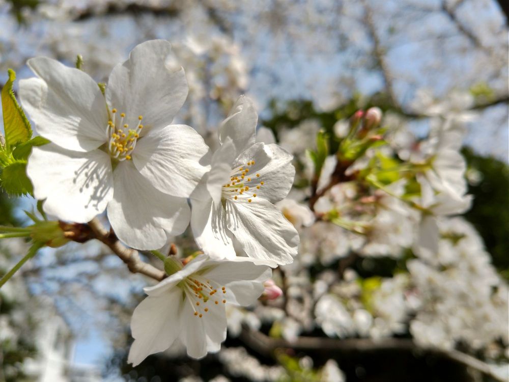 Futoo Zutsumi Green Way