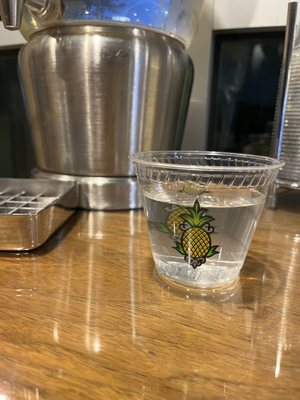 Watertown Hotel - A Staypineapple Hotel by null