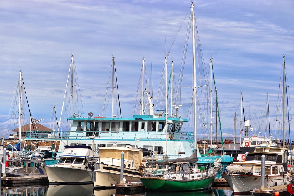 DISCOVER EBIKE 33 Photos Port Angeles, Washington Bike Rentals Phone Number Yelp