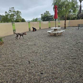 Pala Casino RV Resort - Dog Park - RV Parks Near Me - Pala, California Pala Casino RV Resort - Dog Park - RV Parks Near Me - Pala, California