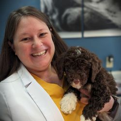 Jackson Square Animal Clinic