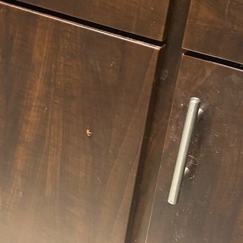 Westmar Student Lofts - Roach infested apartments. DO NOT LIVE HERE. - Apartments Near Me - Atlanta, Georgia Westmar Student Lofts - Roach infested apartments. DO NOT LIVE HERE. - Apartments Near Me - Atlanta, Georgia