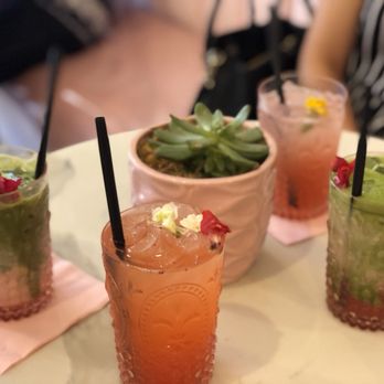 Holy Matcha - Tea Rooms Near Me - San Diego, California Holy Matcha - Tea Rooms Near Me - San Diego, California