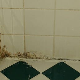 Mold in the shower Mold in the shower