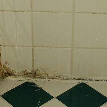 Westwind Lodge - Mold in the shower - Hotels Near Me - Oakland, California Westwind Lodge - Mold in the shower - Hotels Near Me - Oakland, California