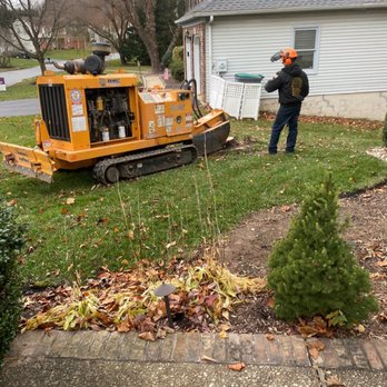 3 Brothers Tree Service - Tree Services Near Me 3 Brothers Tree Service - Tree Services Near Me