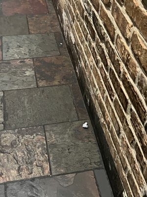 Cheddar's Scratch Kitchen by null