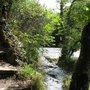 Photo of Salmon Leap