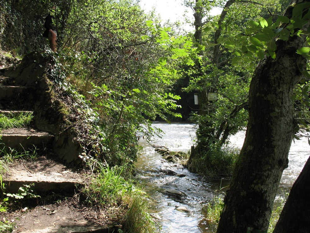 SALMON LEAP Updated September 2024 The Salmon Leap, Newcastle Emlyn