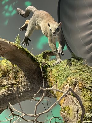 Royal Tyrrell Museum by null