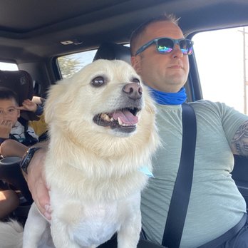 Grooming By Moraine - After hair cut - Pet Groomers Near Me - Lodi, California Grooming By Moraine - After hair cut - Pet Groomers Near Me - Lodi, California