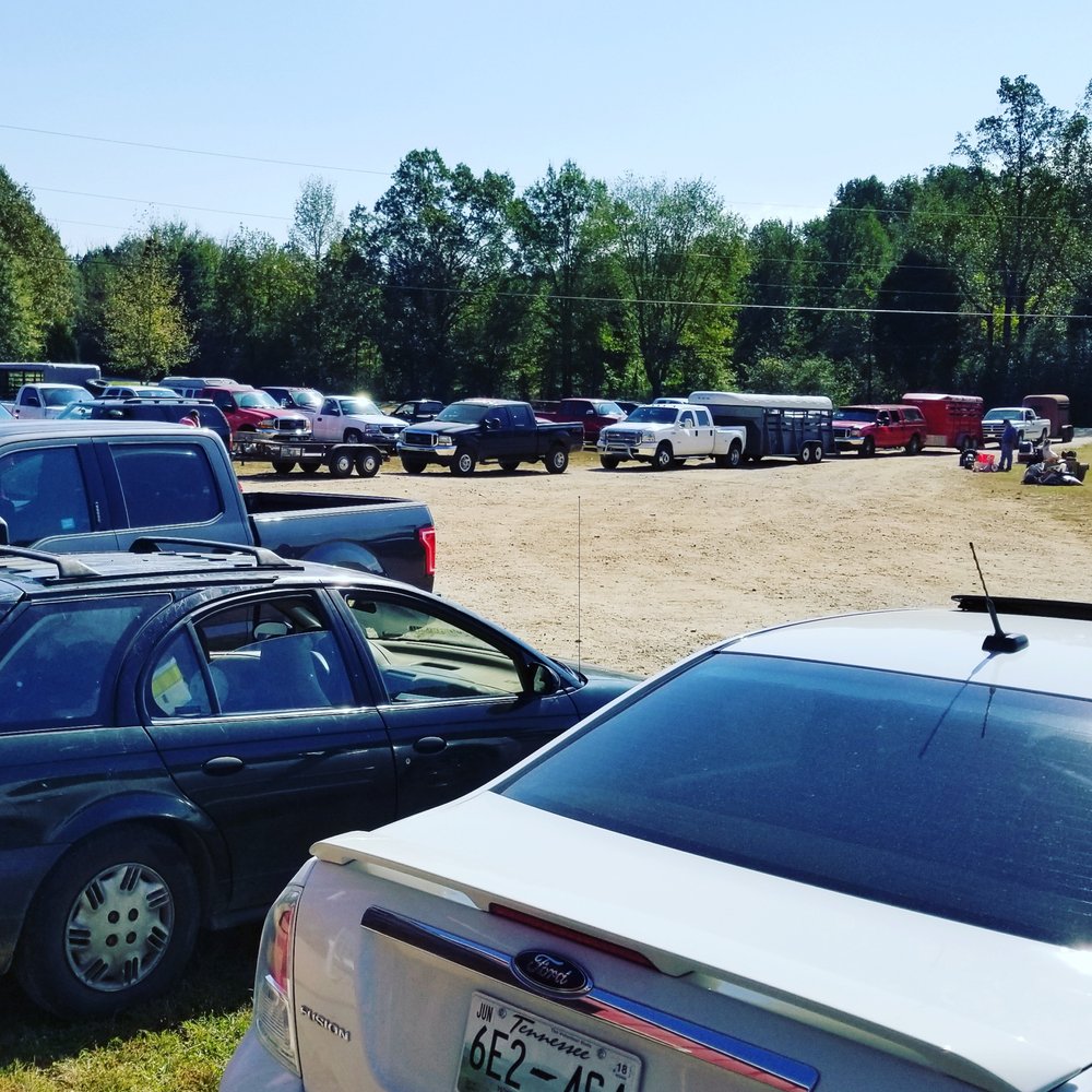 WEST TENNESSEE AUCTION BARN Updated August 2024 330 Finch Rd