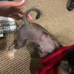 Bad hair cut