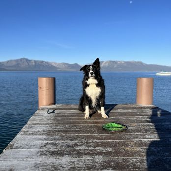 Wild Blue Dog Camp - Summer Camps Near Me - Seal Beach, Nevada