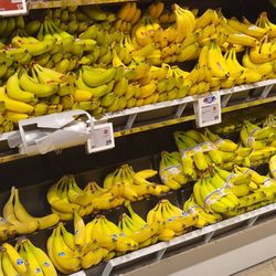 Rewe City