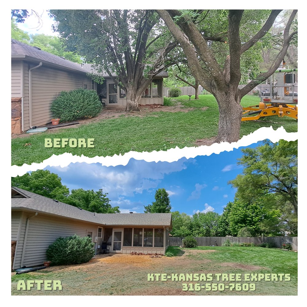 Kansas Tree Experts - tree service in Wichita, KS
