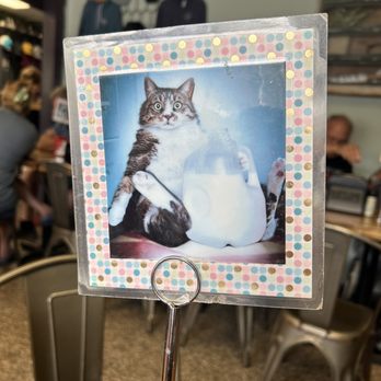 Biscuit Head - Cafes Near Me - Asheville, North Carolina