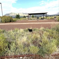Peaks View Park