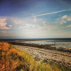 Carlingford - Carlingford - Beach