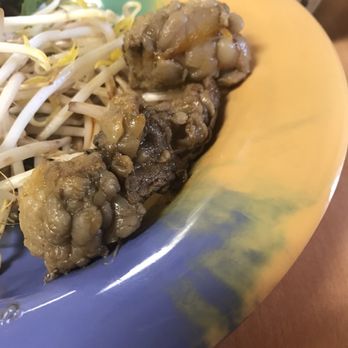 Pho Me - Something I wouldn't even feed my dog. 2 of the 3 beef pieces I was given. Go somewhere else. - Vietnamese Near Me - Tallahassee, Florida Pho Me - Something I wouldn't even feed my dog. 2 of the 3 beef pieces I was given. Go somewhere else. - Vietnamese Near Me - Tallahassee, Florida