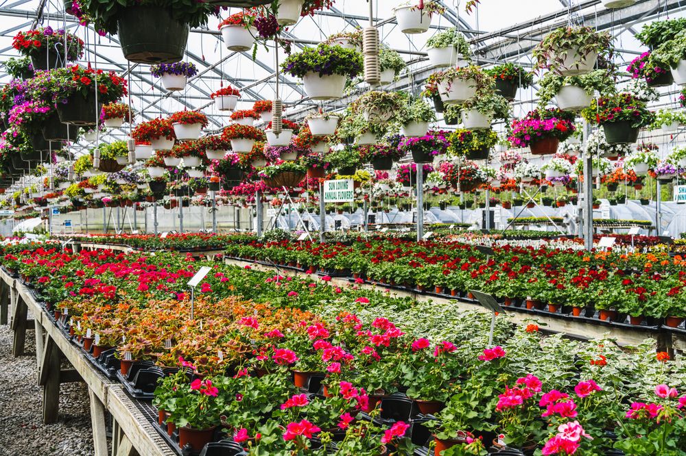 CREEKSIDE GARDENS 61 Photos 721 Johnson Hill Rd, Collinsville