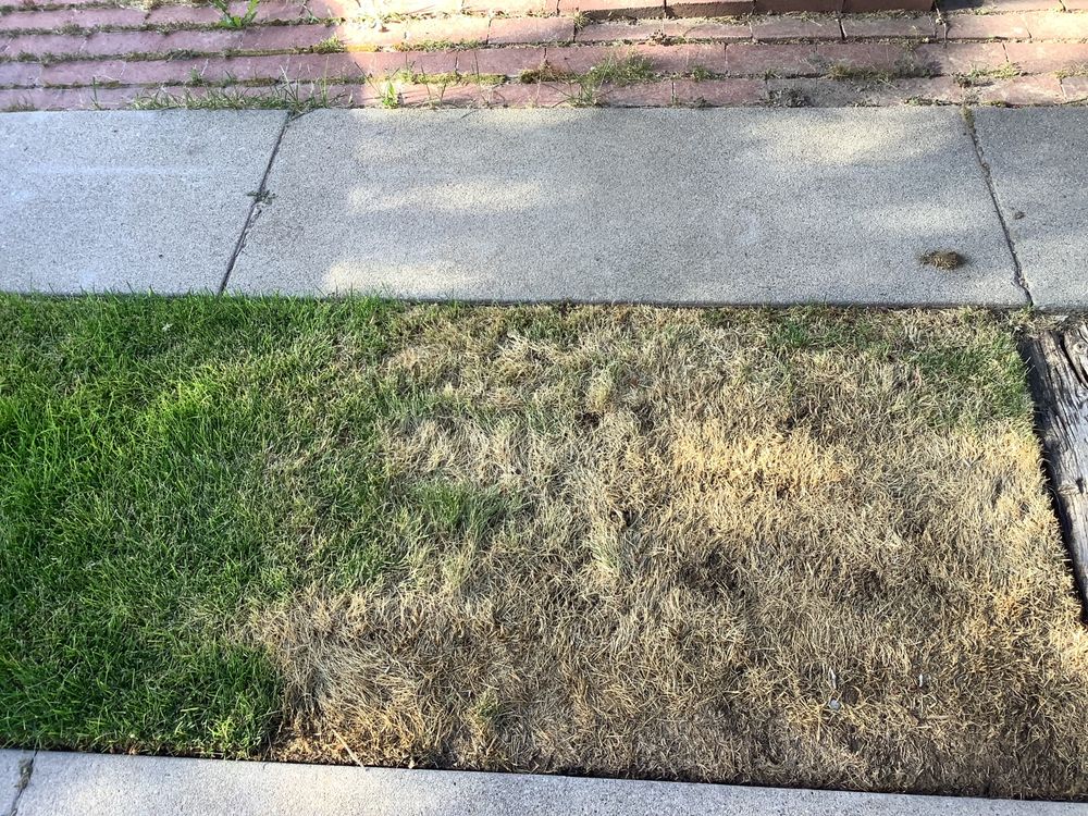 BUSHMAN LANDSCAPING Updated July 2024 12 Photos Salt Lake City