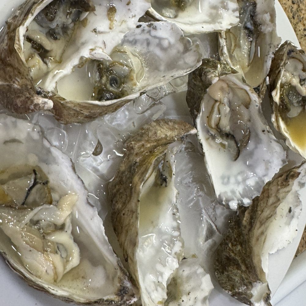 Augustin Oysters - These are the small "petite" size. - Seafood Markets Near Me - Coos Bay, Oregon