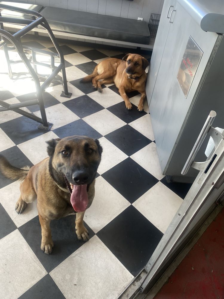 JOHNNY FRANKLIN DRIVELINE & HITCH Updated August 2024 30 Reviews