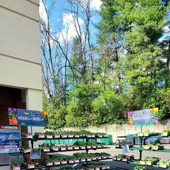 Ace Hardware Mariemont - Live plants (veggies and herbs) - Hardware Stores Near Me - Cincinnati, Ohio