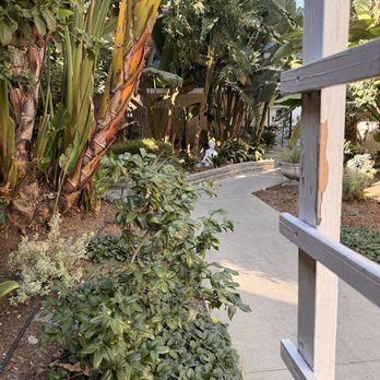 The Royal Gardens - Walk way and front yards of trees and flowering bushes - Apartments Near Me - Arcadia, California The Royal Gardens - Walk way and front yards of trees and flowering bushes - Apartments Near Me - Arcadia, California