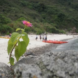 大浪灣
